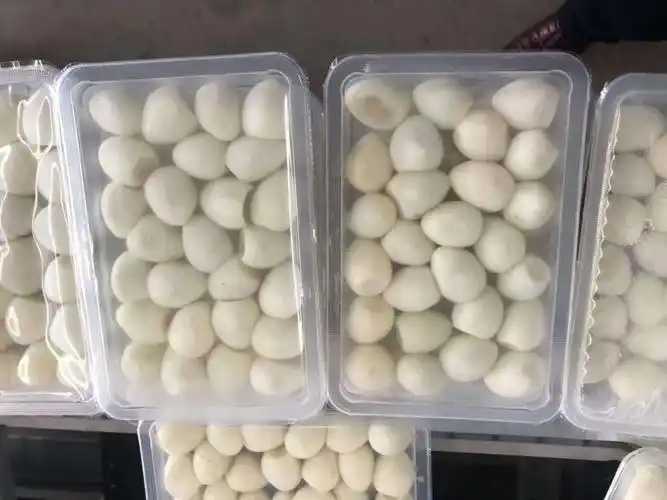 整線解決方案，優(yōu)化生產(chǎn)流程：鵪鶉蛋包裝神器來襲